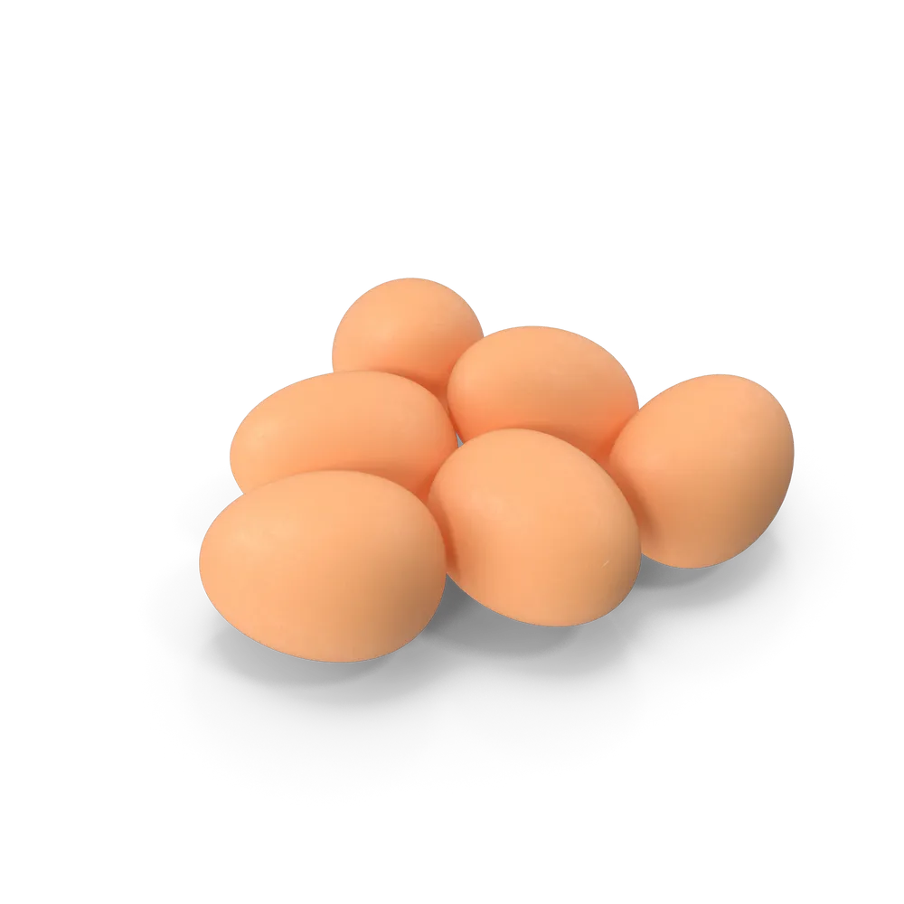 Eier